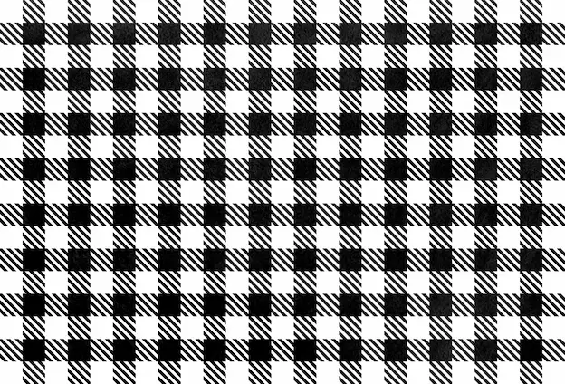 Shepherds Border Tartan Plaid pattern